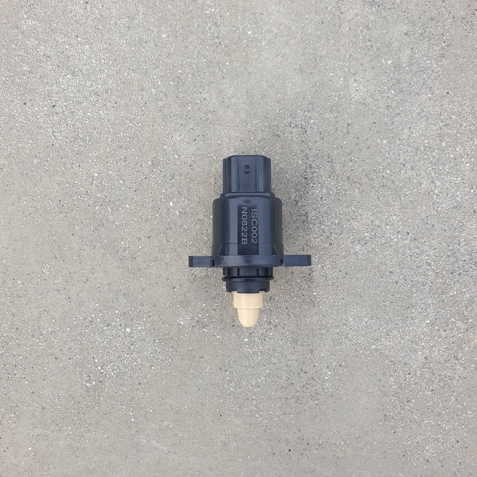 Idle Speed Control