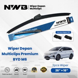 BYD M6